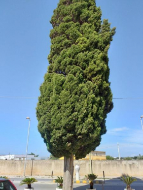 L'Albero bello Holiday Mazara Del Vallo